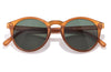 Dipsea Rust Forest Sunglass